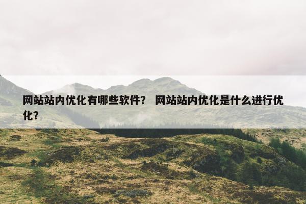 网站站内优化有哪些软件？ 网站站内优化是什么进行优化？