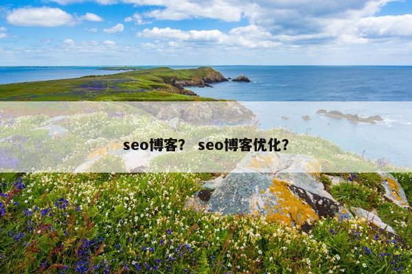 seo博客？ seo博客优化？
