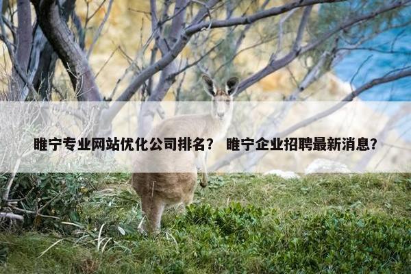 睢宁专业网站优化公司排名？ 睢宁企业招聘最新消息？