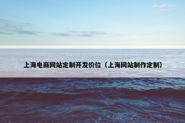 上海电商网站定制开发价位（上海网站制作定制）