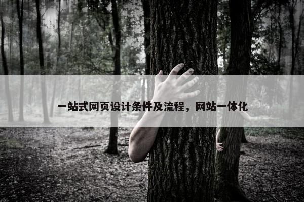一站式网页设计条件及流程，网站一体化