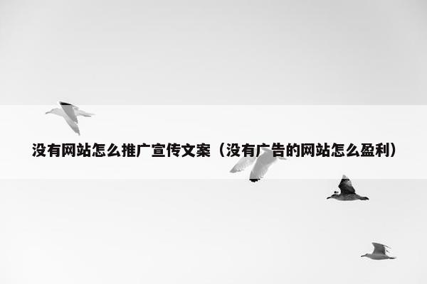 没有网站怎么推广宣传文案（没有广告的网站怎么盈利）
