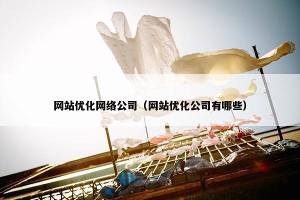 网站优化网络公司（网站优化公司有哪些）