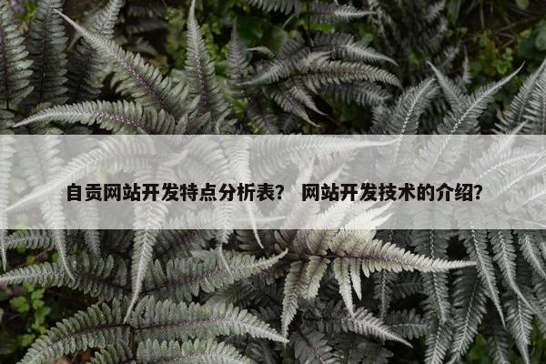 自贡网站开发特点分析表？ 网站开发技术的介绍？