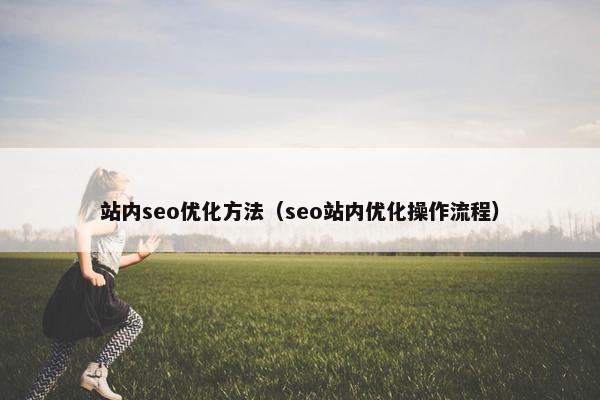 站内seo优化方法（seo站内优化操作流程）