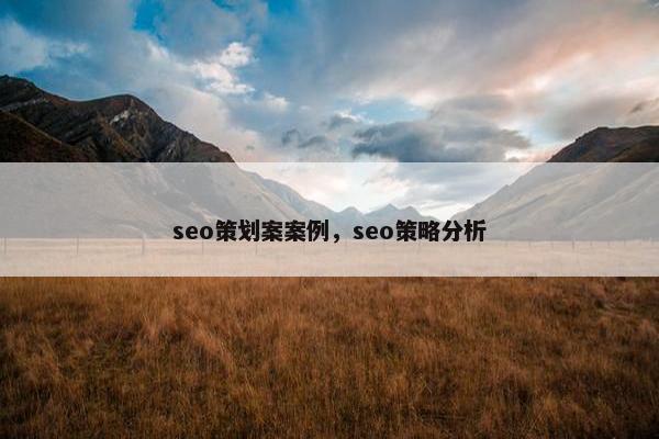 seo策划案案例，seo策略分析