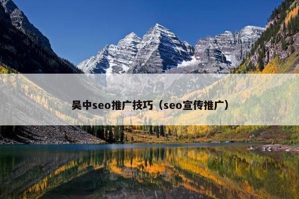 吴中seo推广技巧（seo宣传推广）