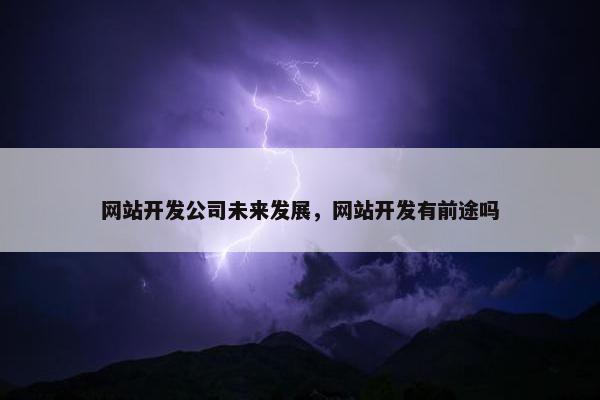 网站开发公司未来发展，网站开发有前途吗