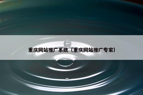 重庆网站推广系统(重庆网站推广专家) 重庆网站推广系统(重庆网站推广专家)