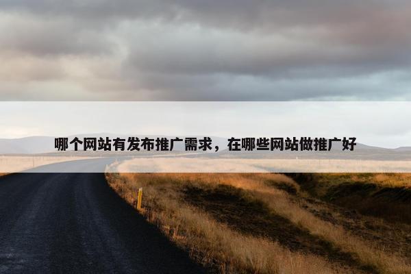 哪个网站有发布推广需求，在哪些网站做推广好