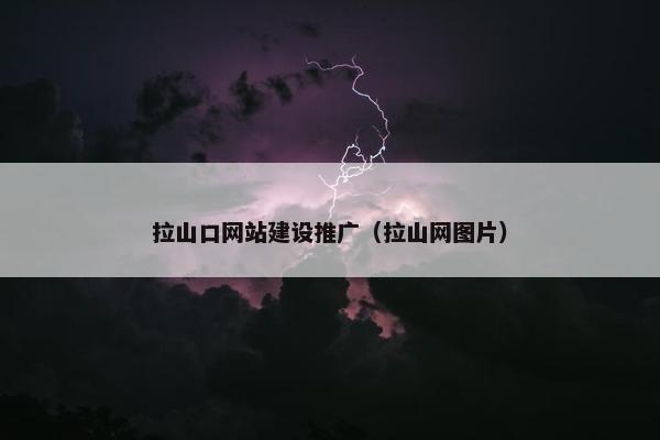 拉山口网站建设推广（拉山网图片）