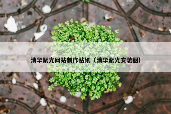 清华紫光网站制作贴纸（清华紫光安装图）