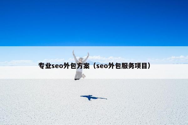 专业seo外包方案（seo外包服务项目）