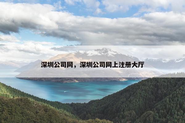 深圳公司网，深圳公司网上注册大厅