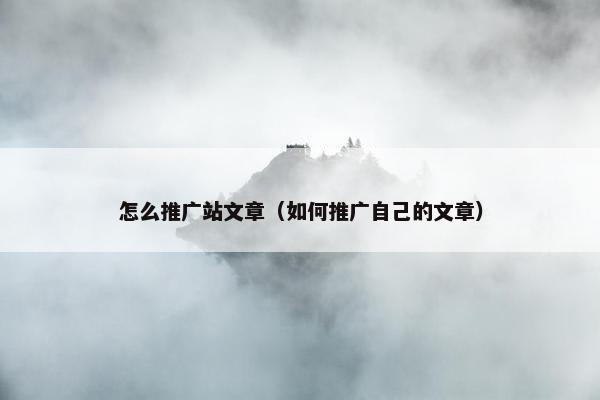 怎么推广站文章（如何推广自己的文章）