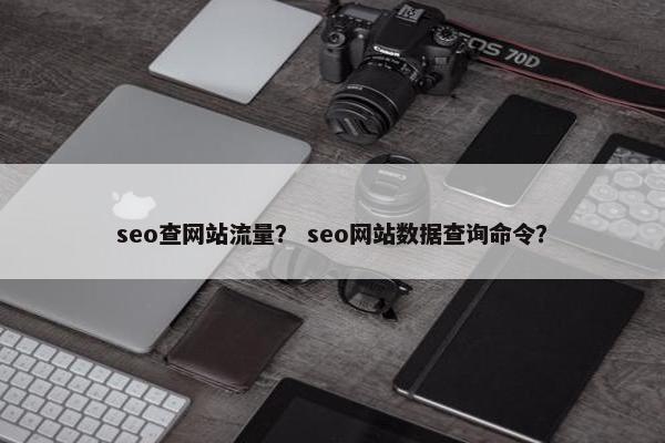 seo查网站流量？ seo网站数据查询命令？