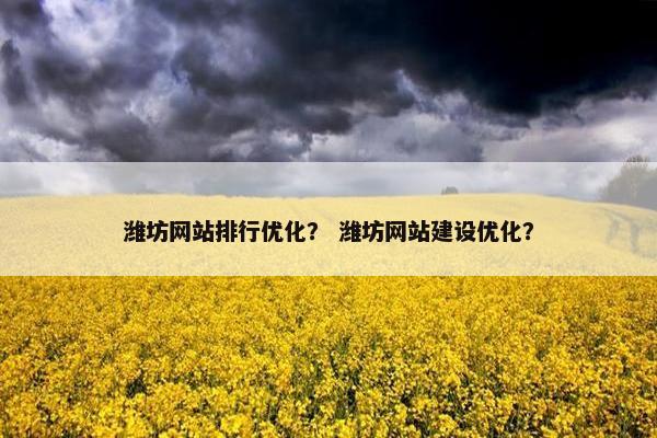 潍坊网站排行优化？ 潍坊网站建设优化？