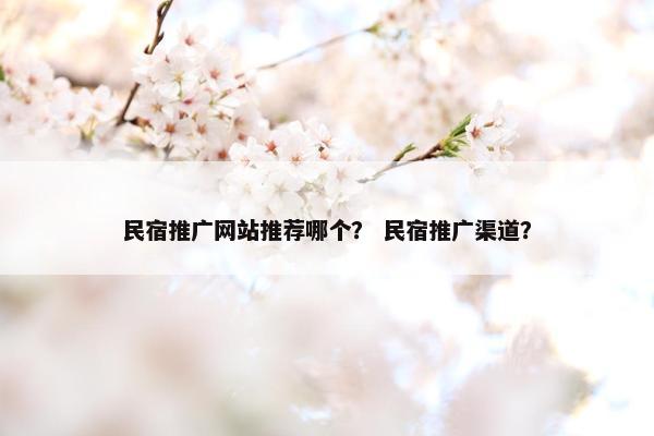 民宿推广网站推荐哪个？ 民宿推广渠道？