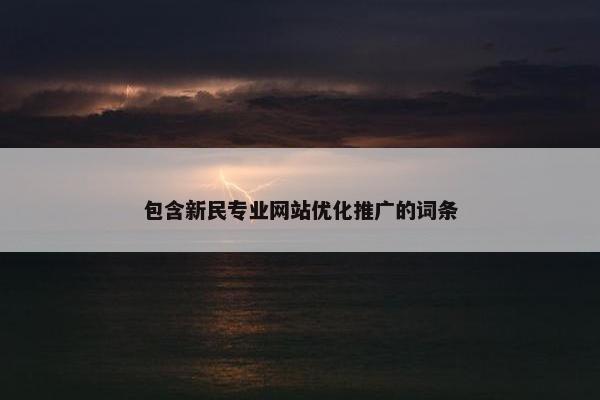 包含新民专业网站优化推广的词条