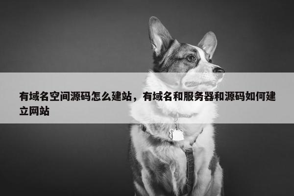 有域名空间源码怎么建站，有域名和服务器和源码如何建立网站