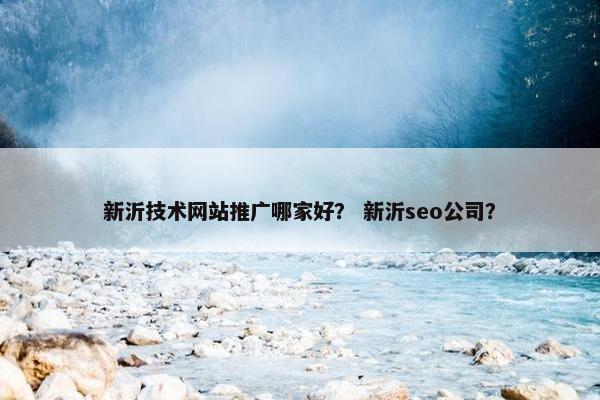 新沂技术网站推广哪家好？ 新沂seo公司？