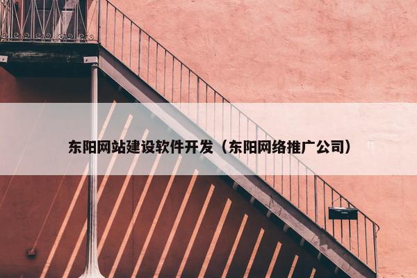 东阳网站建设软件开发（东阳网络推广公司）