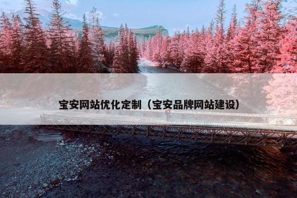 宝安网站优化定制(宝安品牌网站建设) 宝安网站优化定制(宝安品牌网站建设)