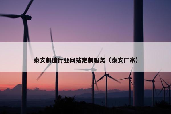 泰安制造行业网站定制服务（泰安厂家）