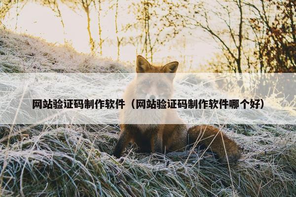 网站验证码制作软件（网站验证码制作软件哪个好）