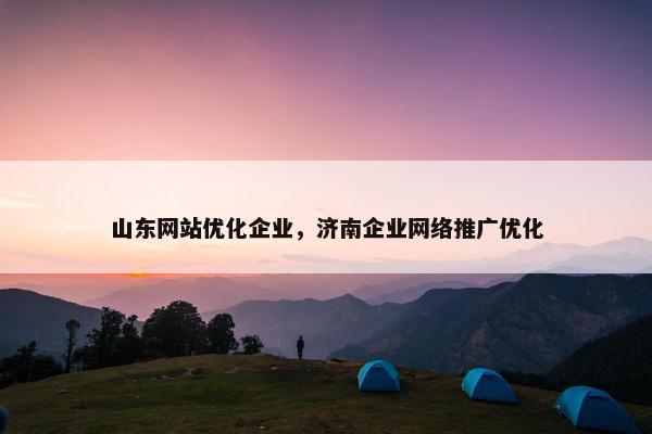 山东网站优化企业，济南企业网络推广优化