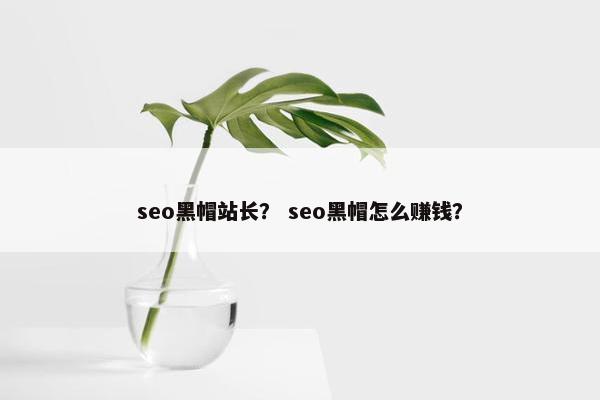 seo黑帽站长? seo黑帽怎么赚钱? seo黑帽站长? seo黑帽怎么赚钱?