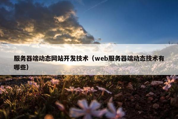 服务器端动态网站开发技术（web服务器端动态技术有哪些）