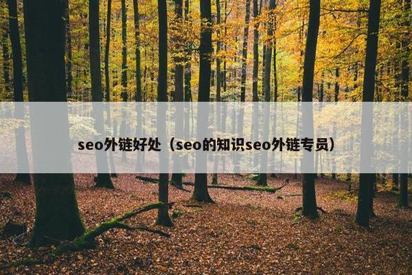 seo外链好处（seo的知识seo外链专员）