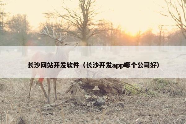 长沙网站开发软件（长沙开发app哪个公司好）