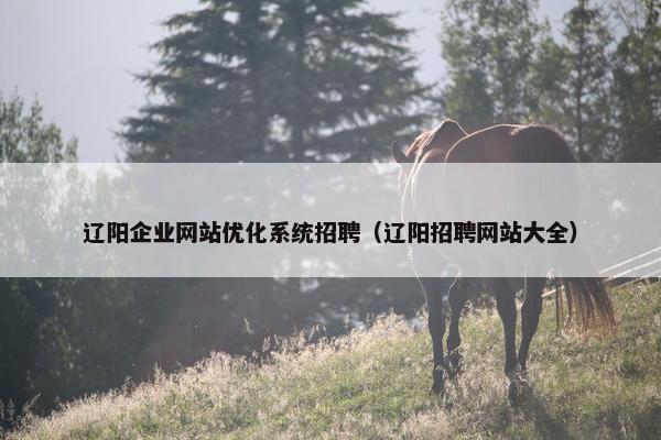 辽阳企业网站优化系统招聘（辽阳招聘网站大全）