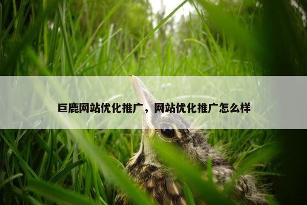 巨鹿网站优化推广，网站优化推广怎么样