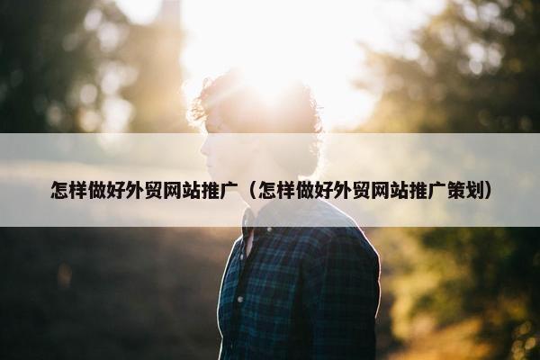 怎样做好外贸网站推广（怎样做好外贸网站推广策划）