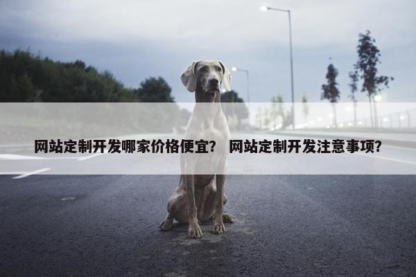 网站定制开发哪家价格便宜? 网站定制开发注意事项? 网站定制开发哪家价格便宜? 网站定制开发注意事项?