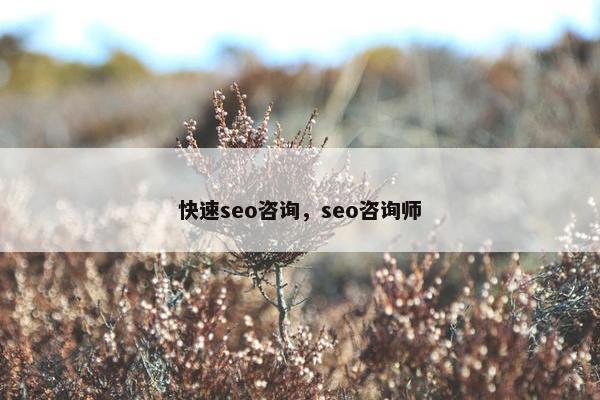 快速seo咨询，seo咨询师