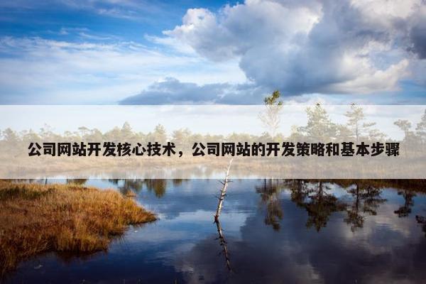 公司网站开发核心技术，公司网站的开发策略和基本步骤