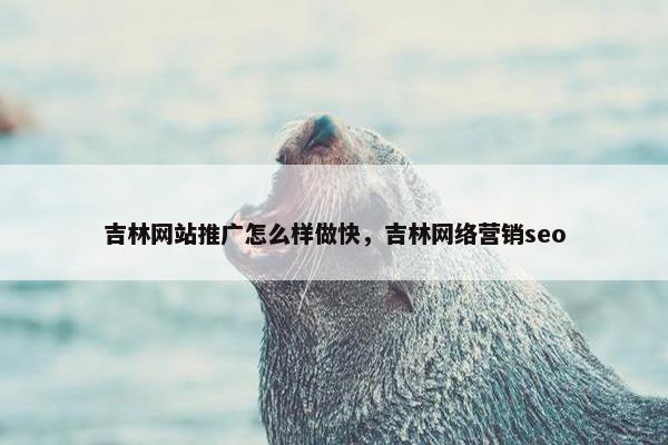 吉林网站推广怎么样做快，吉林网络营销seo