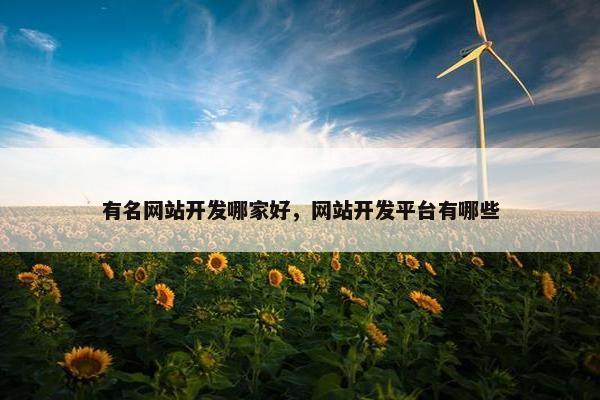 有名网站开发哪家好，网站开发平台有哪些
