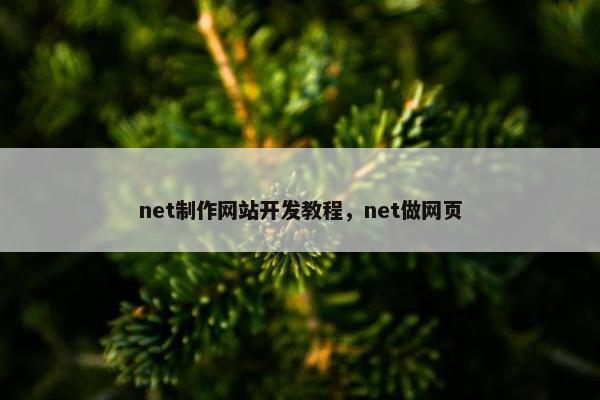 net制作网站开发教程，net做网页