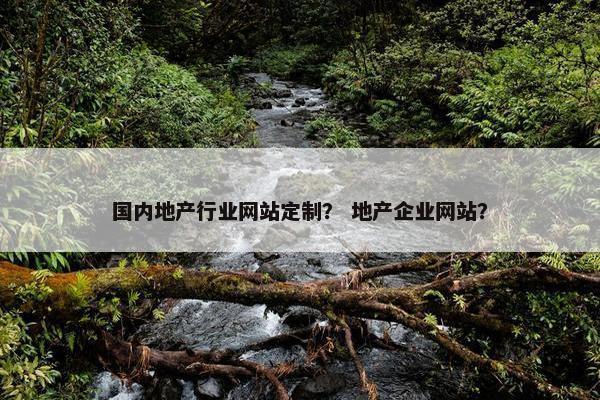 国内地产行业网站定制？ 地产企业网站？