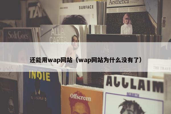 还能用wap网站（wap网站为什么没有了）
