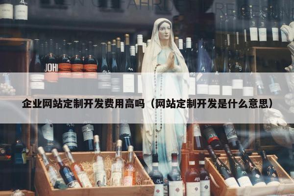 企业网站定制开发费用高吗（网站定制开发是什么意思）