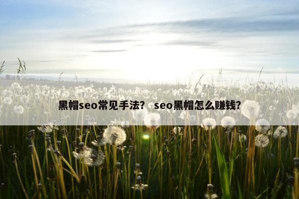 黑帽seo常见手法？ seo黑帽怎么赚钱？