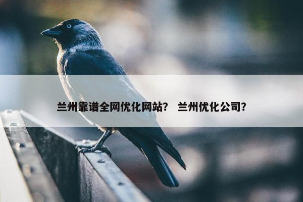 兰州靠谱全网优化网站？ 兰州优化公司？