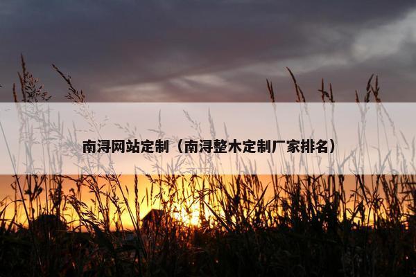 南浔网站定制（南浔整木定制厂家排名）