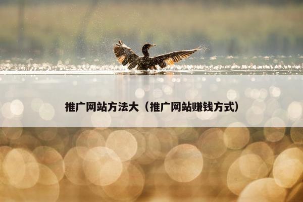 推广网站方法大（推广网站赚钱方式）
